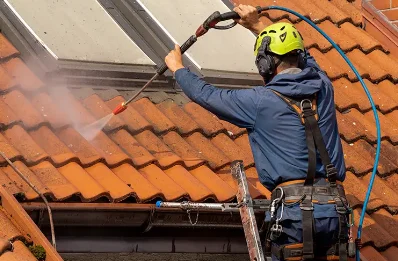 Démoussage et hydrofuge de toiture à Massieu